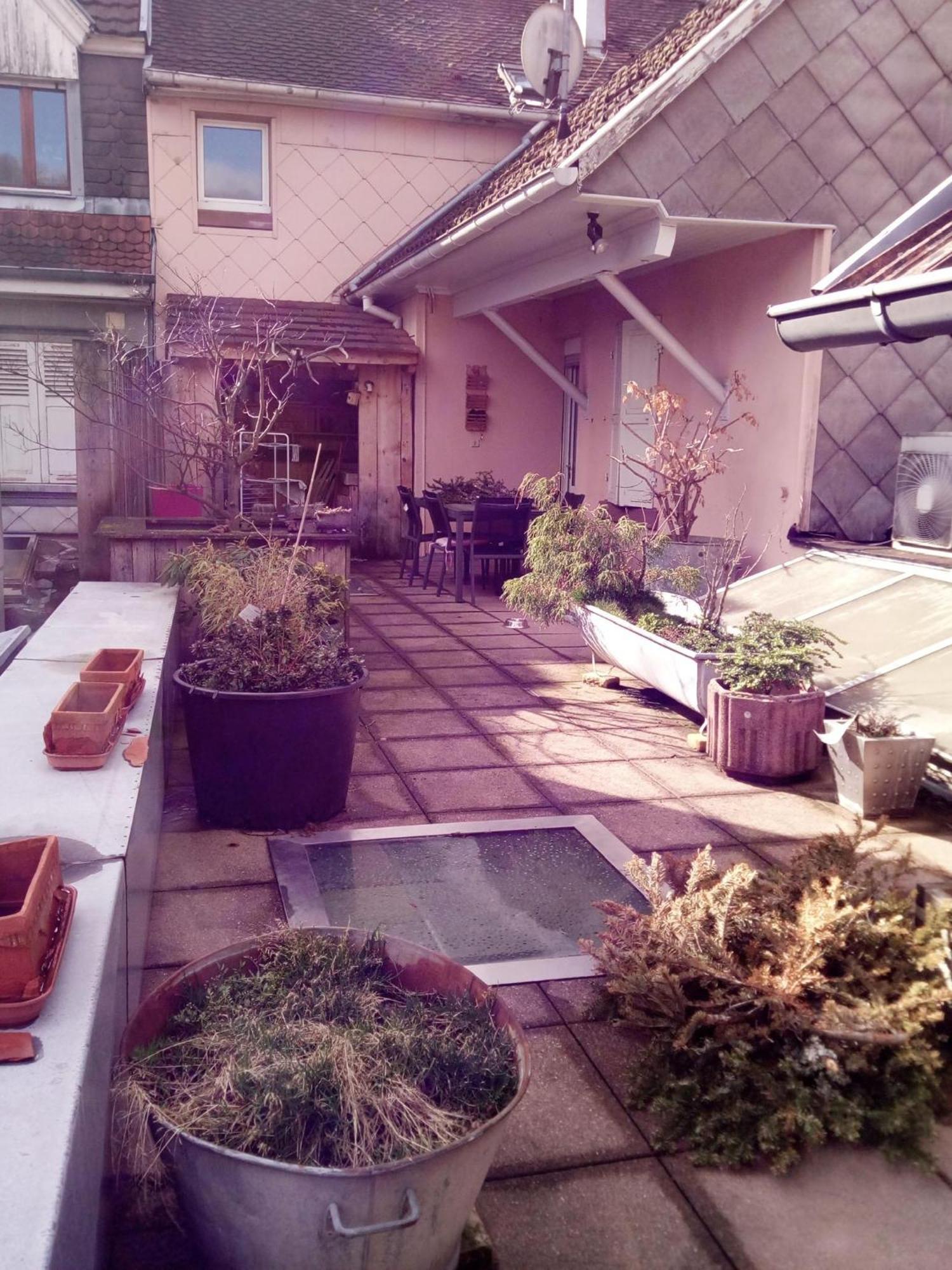 "Cote Nature", Appartement Cosy Au Coeur De Munster Munster  Luaran gambar