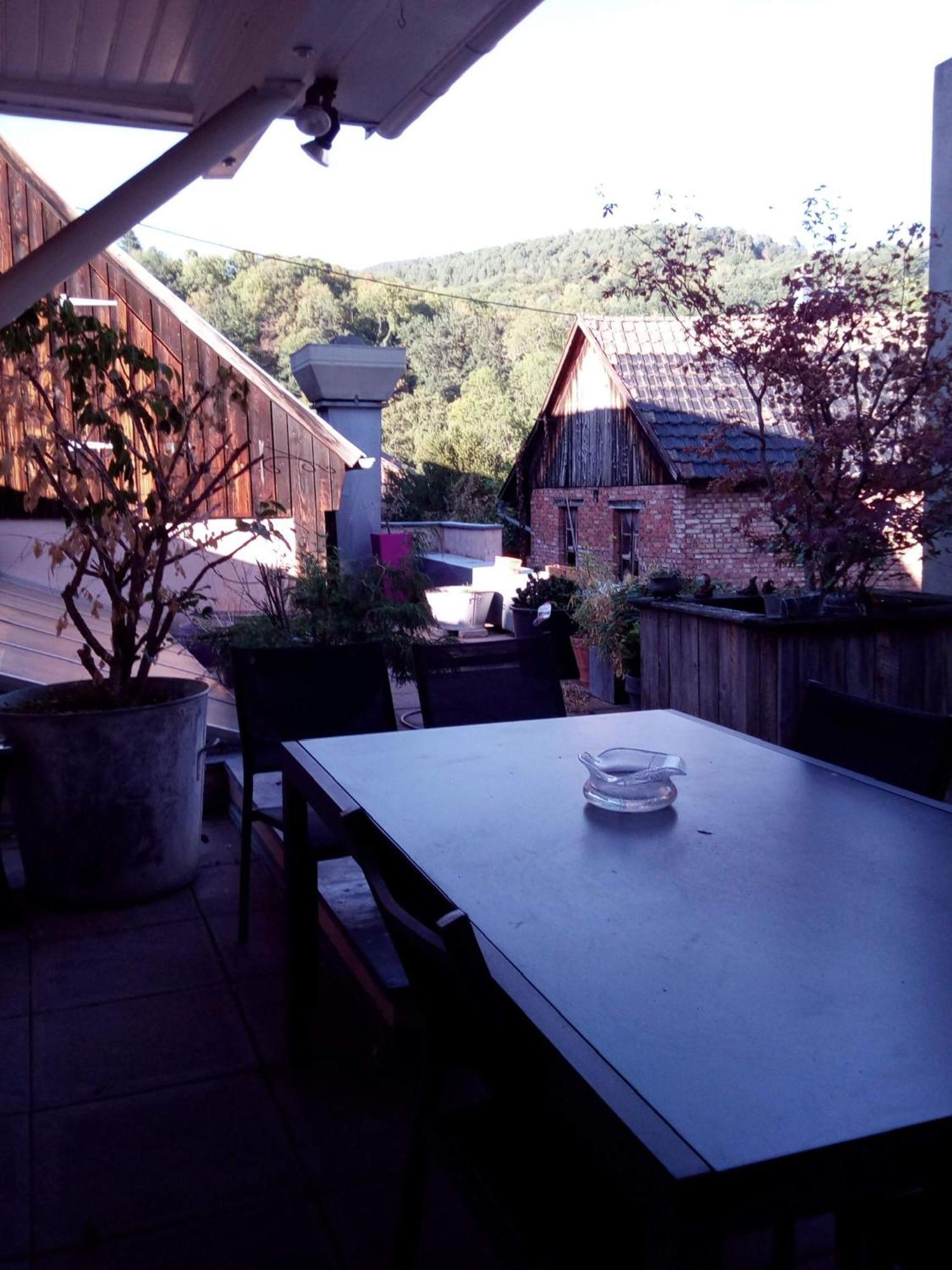 "Cote Nature", Appartement Cosy Au Coeur De Munster Munster  Luaran gambar