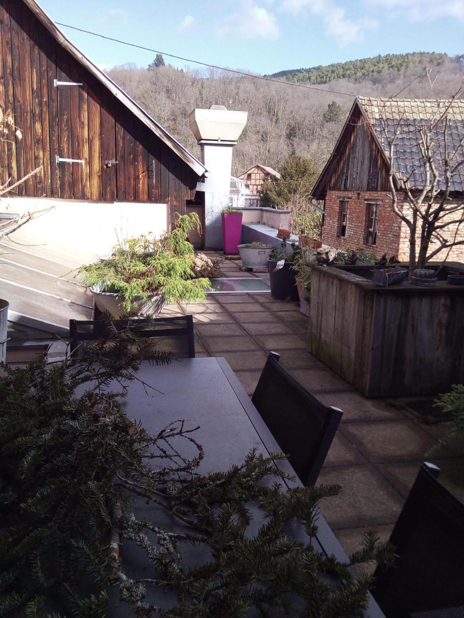 "Cote Nature", Appartement Cosy Au Coeur De Munster Munster  Luaran gambar